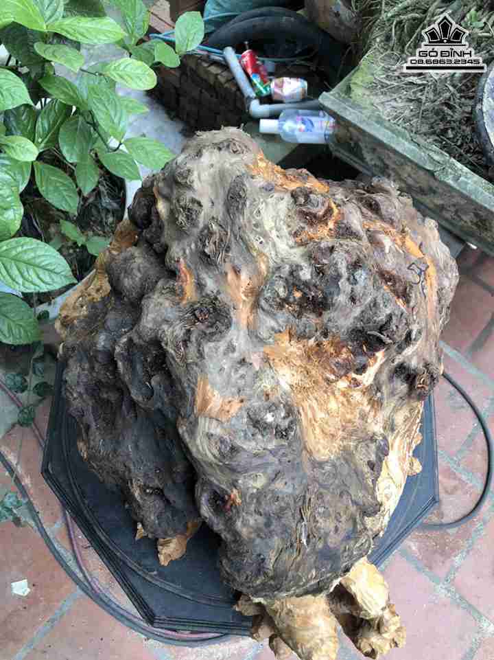 Tuong-Long-Quy-Go-Nu-Sun-Ngoc-Am-3