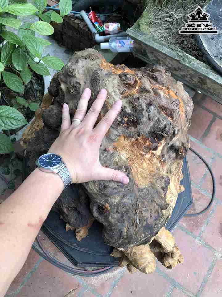 Tuong-Long-Quy-Go-Nu-Sun-Ngoc-Am-4