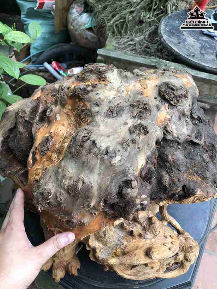 Tuong-Long-Quy-Go-Nu-Sun-Ngoc-Am-5