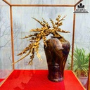 Bình Mai Phú Quý  Bình Gỗ Sưa Hoa Gỗ Hoàng Đàn 6