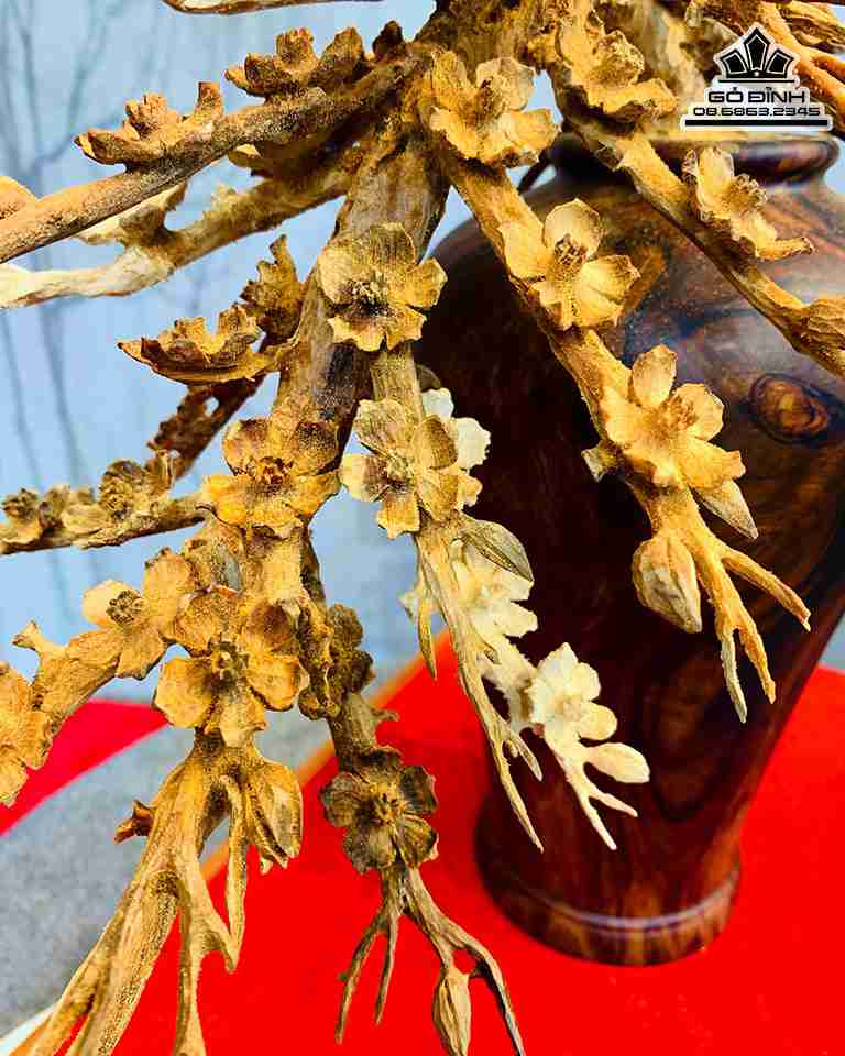 Bình Mai Phú Quý  Bình Gỗ Sưa Hoa Gỗ Hoàng Đàn 7