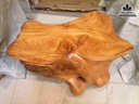 Đôn Gõ, Đôn Gốc Cây Gỗ Gõ Đỏ (Cà Te) 6