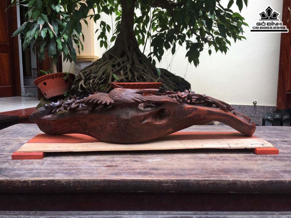 Gậy Như Ý Gỗ Trắc Cao 15 Ngang 56 Sâu 12 (cm) 4