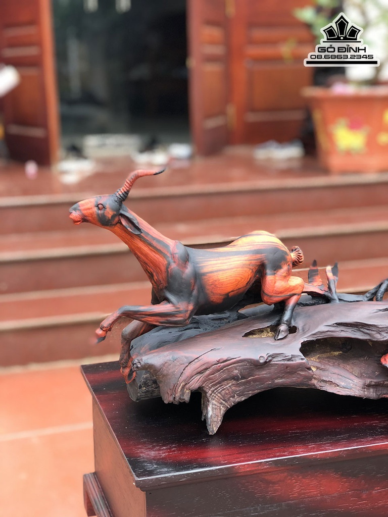 Tượng Báo Săn Mồi Gỗ Trắc Cao 56 Ngang 93 Sâu 30 Cả Kỷ 76 (cm) 1