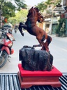 Tượng Ngựa Phong Thủy Gỗ Trắc Cao 57 Ngang 29 Sâu 24 (cm) 1