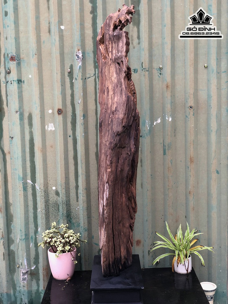 Tượng Đạt Ma Sư Tổ Gỗ Bách Xanh Cao 105 Ngang 33 Sâu 17 (cm) 2