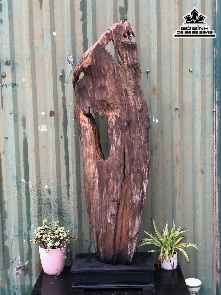 Tượng Đạt Ma Sư Tổ Gỗ Bách Xanh Cao 105 Ngang 33 Sâu 17 (cm) 3