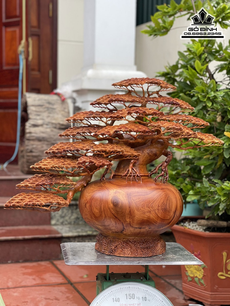 Bình Tùng Gỗ Hương Việt Cao 60 Ngang 73 Sâu 37 (cm) 5