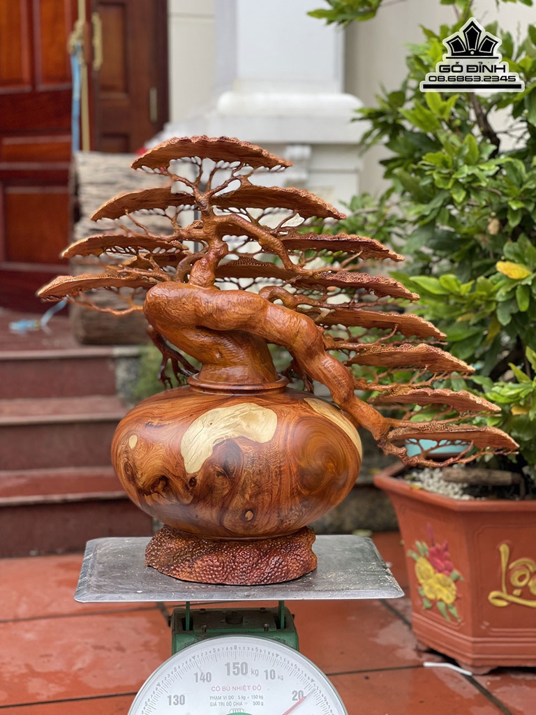 Bình Tùng Gỗ Hương Việt Cao 60 Ngang 73 Sâu 37 (cm)7