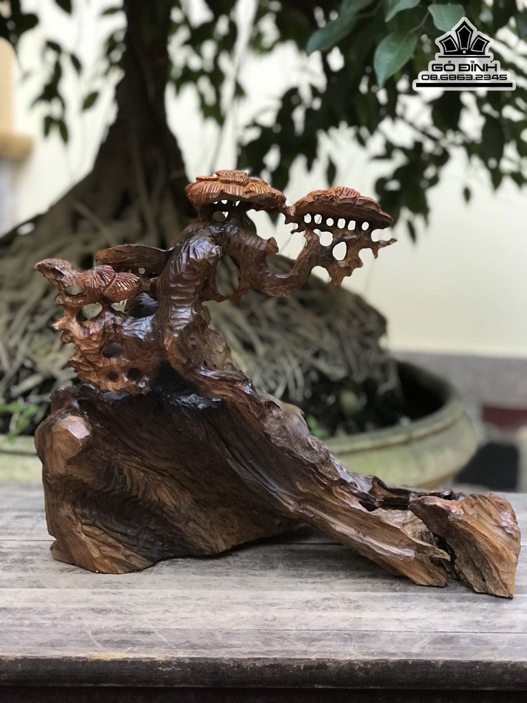 Tượng Thần Trà Gỗ Bách Xanh Cao 36 Ngang 43 Sâu 29 (cm) 7