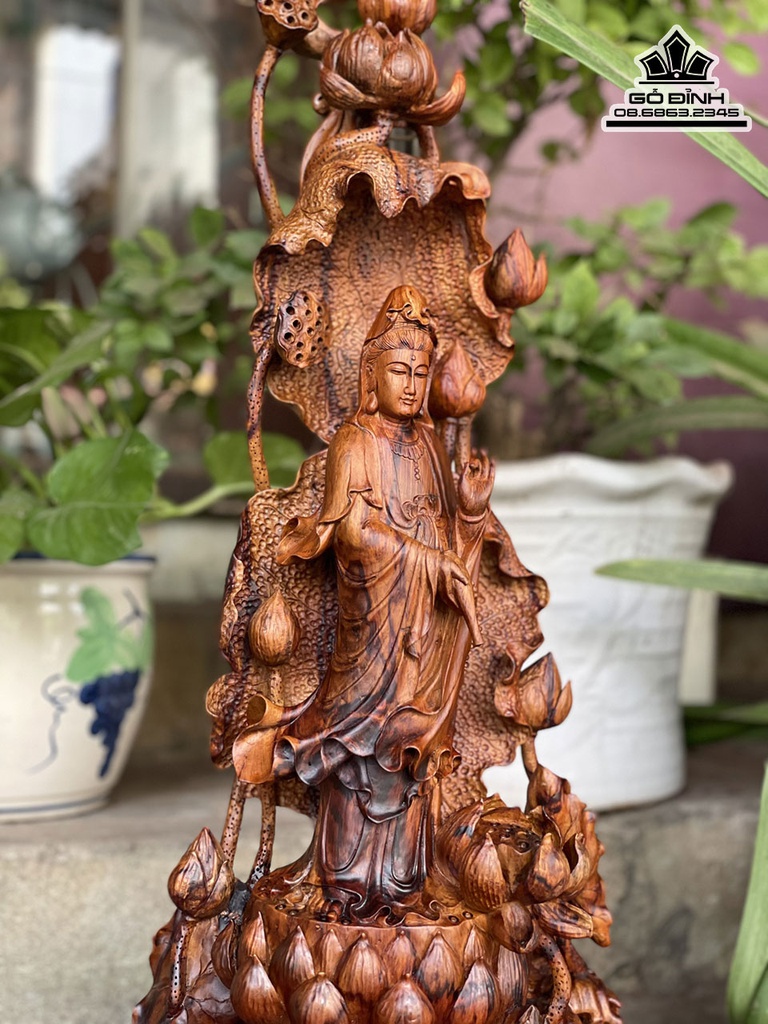 Tượng Quan Âm Tự Tại Gô Sưa Bắc Cao 57 Ngang 25 Sâu 15 (cm) 3