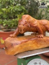 Tượng Hổ Gỗ Hương Việt Cao 32 Ngang 63 Sâu 18 (cm) 0