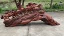 Tượng Ngựa Phong Thủy Gỗ Sụn Hương Liền Khối 100 Cao 48 Sâu 26 Ngang 120 (cm) 2