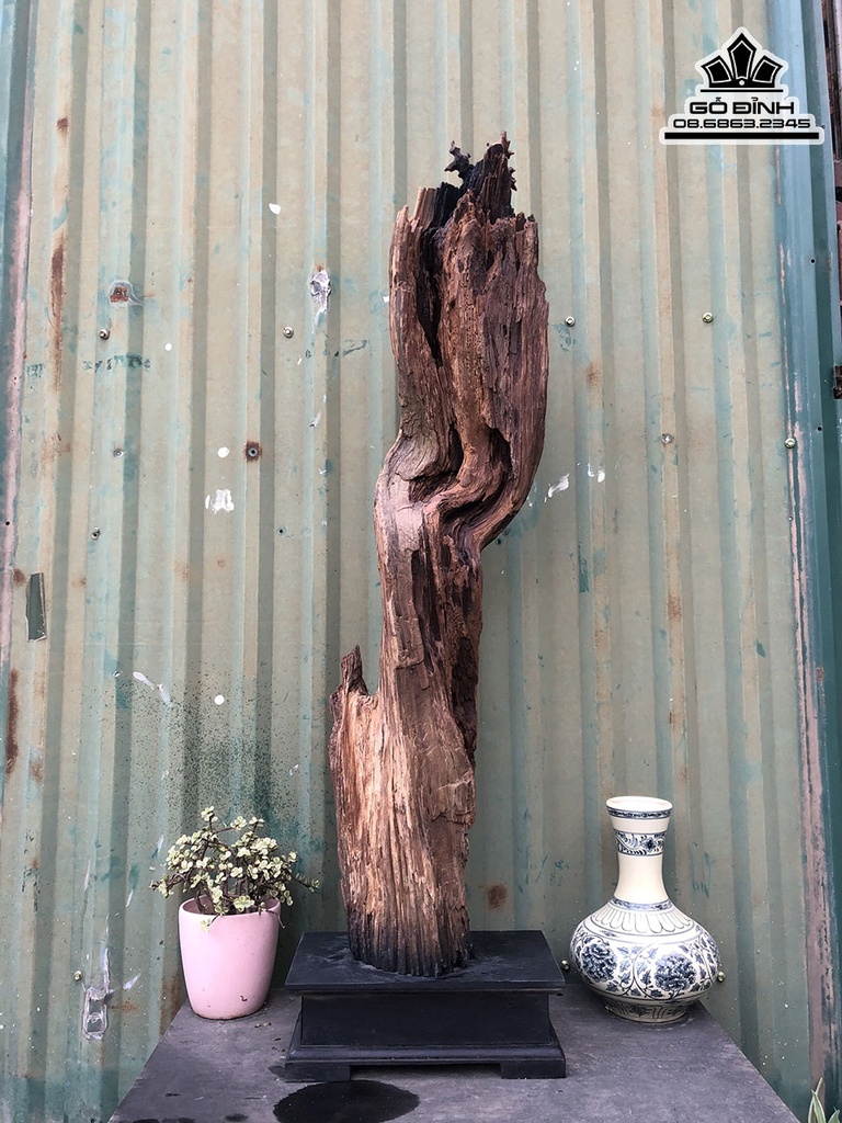 Tượng Đạt Ma Sư Gỗ Bách Xanh Cao 94 Ngang 26 Sâu 15 (cm) 0