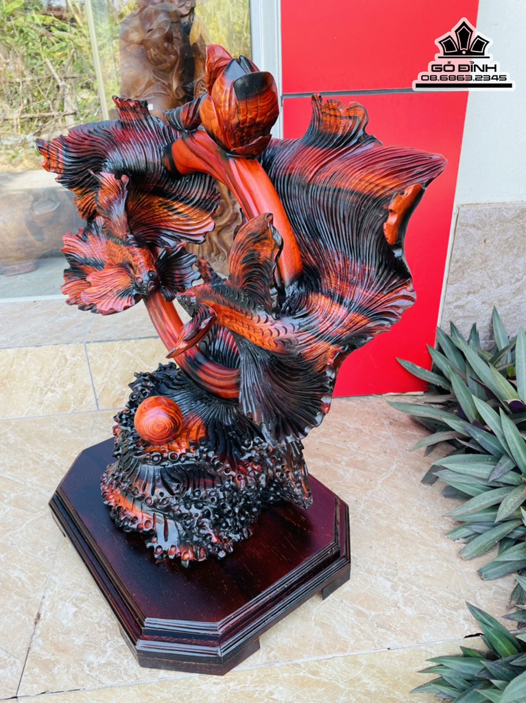 Tượng Cá Chép Gỗ Trắc Cao 62 Ngang 66 Sâu 25 (cm) 0