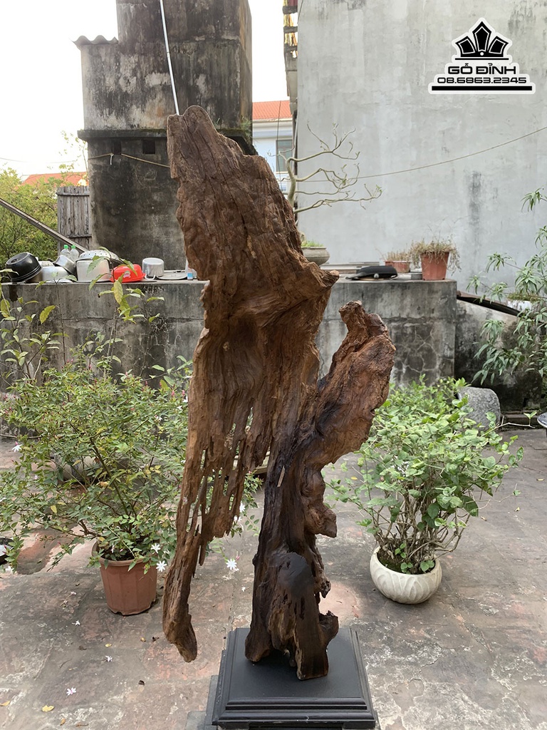 Tượng Phúc Lộc Thọ ( Tam Đa ) Gỗ Bách Xanh Cao 106 Ngang 40 Sâu 20(cm) 1