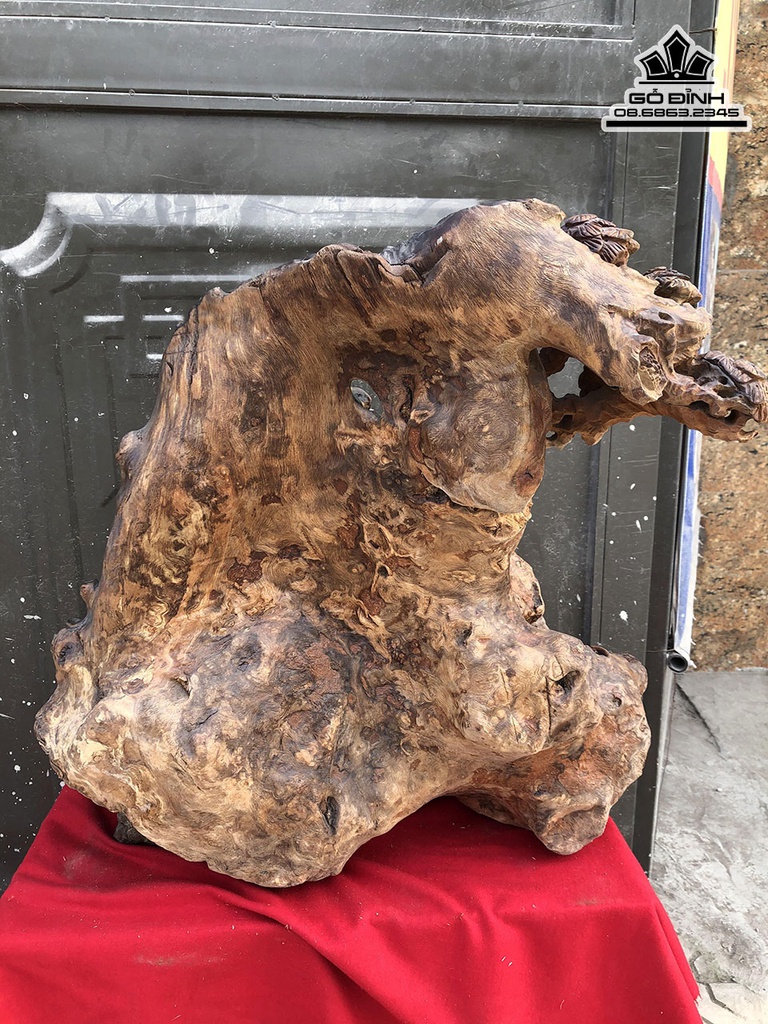 Tượng Đạt Ma Sư Tổ Gỗ Xá Xị (Gù Hương) Cao 66 Ngang 64 Sâu 43 (cm)