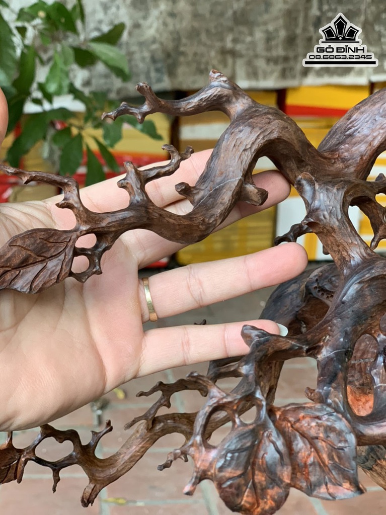 Tượng Đạt Ma Sư Tổ Giáo Hóa Gỗ Trắc Cao 69 Ngang 55 Sâu 28 Cả Kỷ 79 (cm) 4