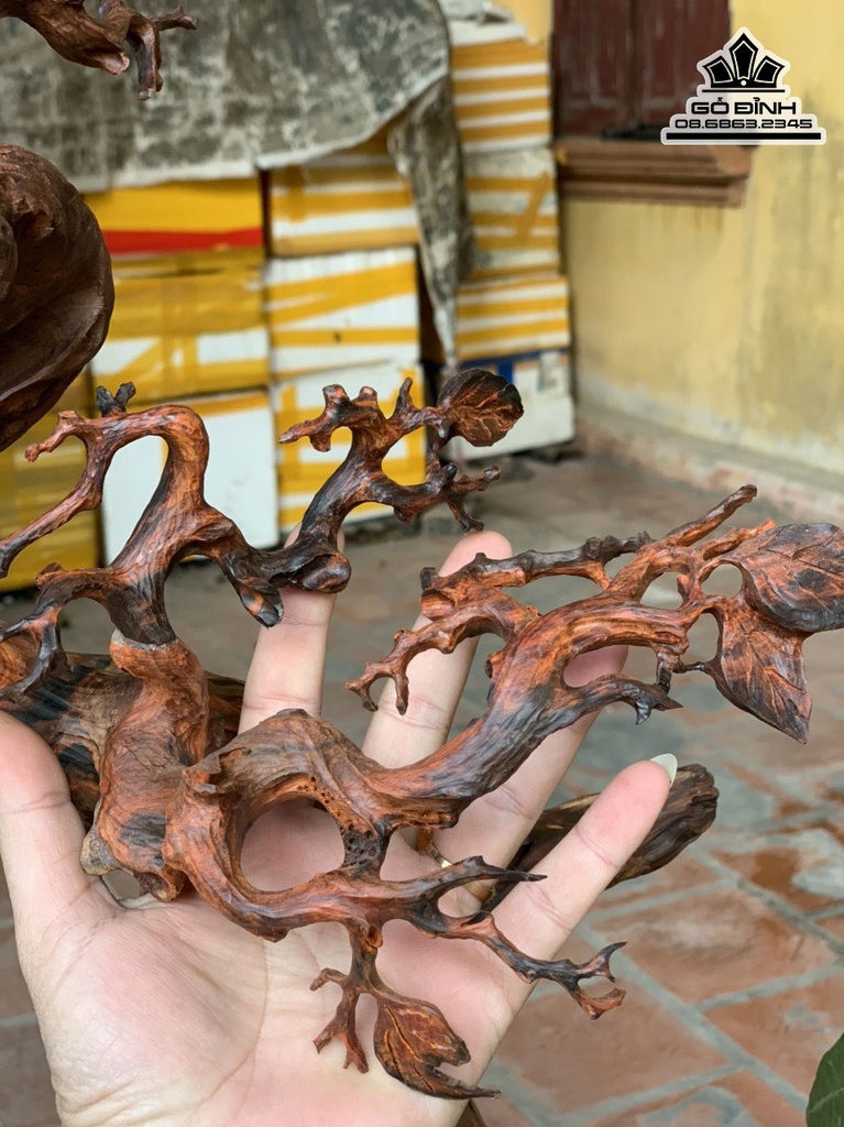 Tượng Đạt Ma Sư Tổ Giáo Hóa Gỗ Trắc Cao 69 Ngang 55 Sâu 28 Cả Kỷ 79 (cm)6