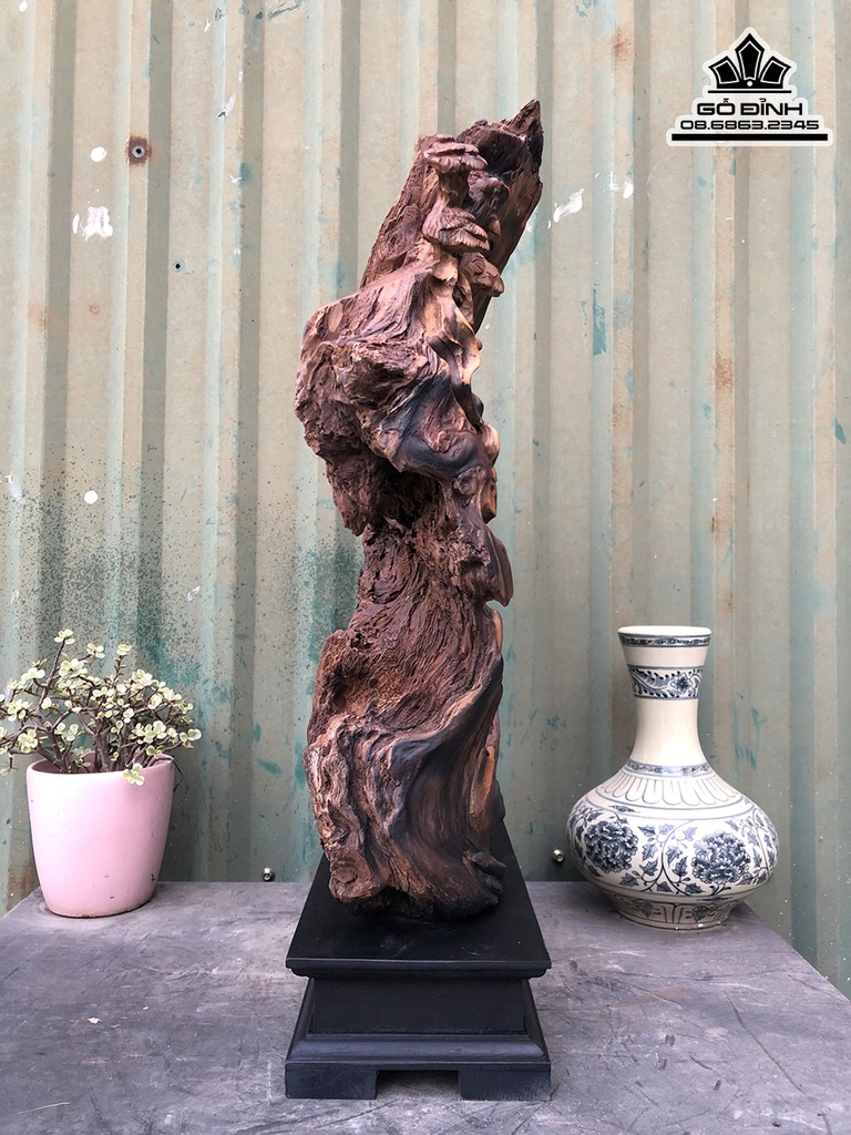 Tương Thần Trà Gỗ Bách Xanh Cao 56 Ngang 38 Sâu 12 (cm) 1