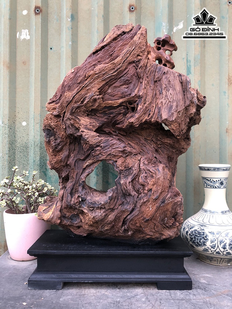 Tương Thần Trà Gỗ Bách Xanh Cao 56 Ngang 38 Sâu 12 (cm) 2