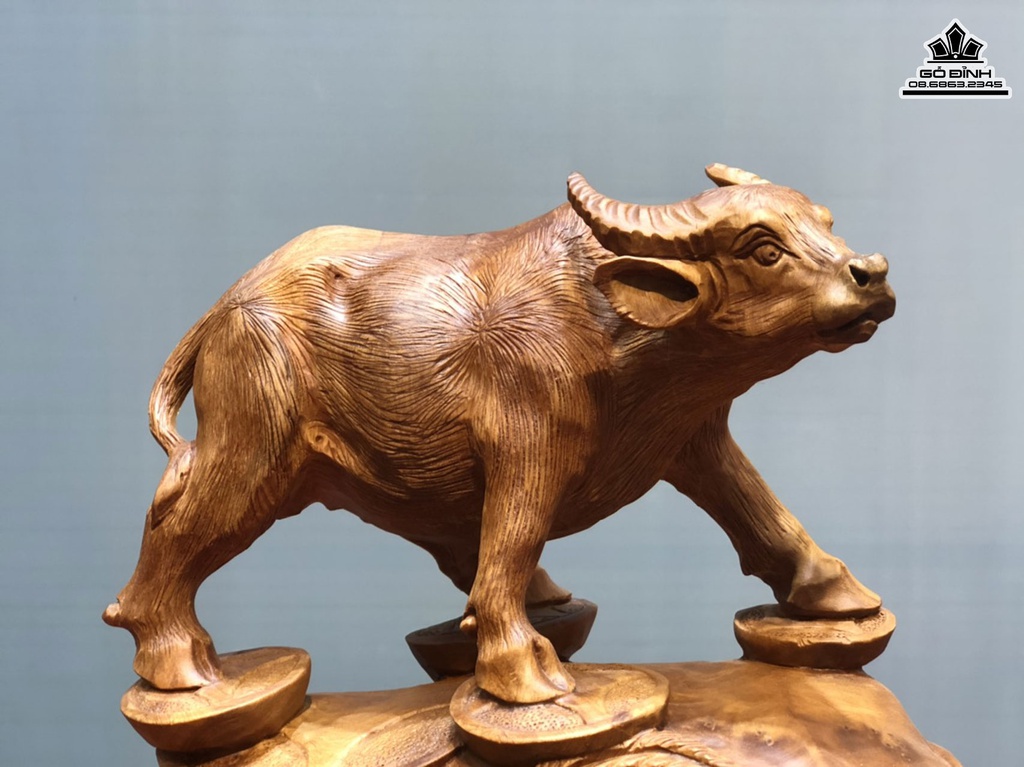 Tượng Trâu Gỗ Nu Ngọc Am Cao 43 Ngang 43 Sâu 24 (cm) 1