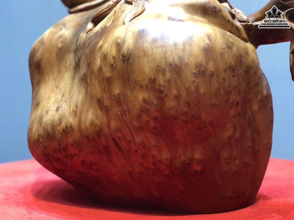 Tượng Trâu Gỗ Nu Ngọc Am Cao 43 Ngang 43 Sâu 24 (cm) 2