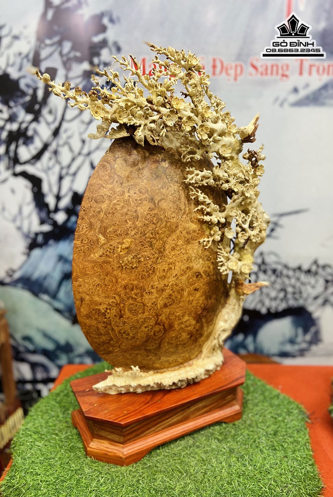 Bảo Ngọc Mai Điểu Gỗ Nu Hương Cao 71 Ngang 47 Sâu 14 Cả Kỷ 81 (cm) 0