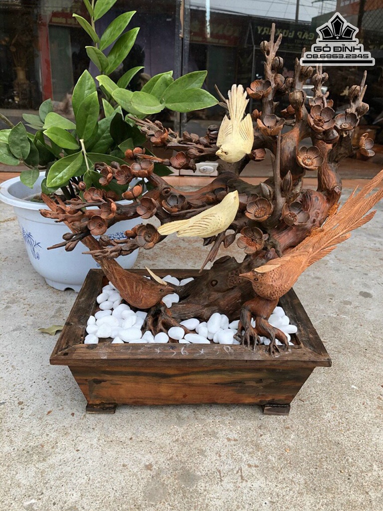 Bình Mai Điểu Gỗ Trắc Cao 45 Ngang 56 Sâu 26 (cm) 2