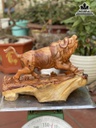 Tượng Bò Tót Gỗ Hương Việt Cao 29 Ngang 42 Sâu 25 (cm) 2