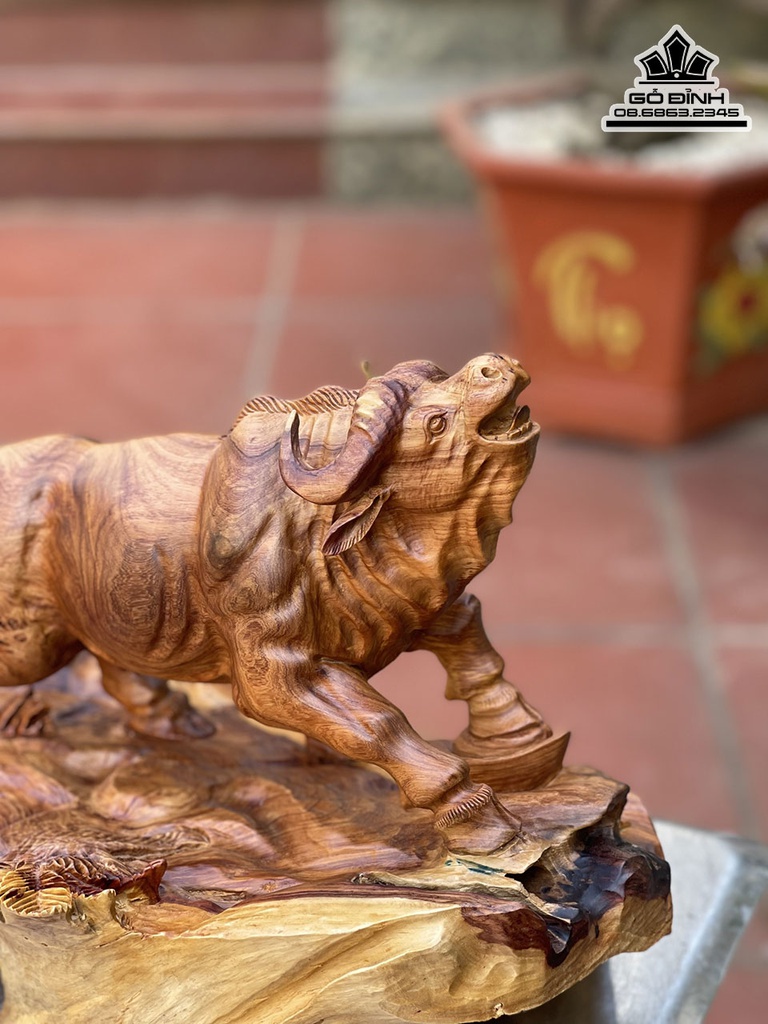 Tượng Bò Tót Gỗ Hương Việt Cao 29 Ngang 42 Sâu 25 (cm) 3