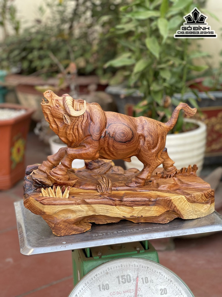 Tượng Bò Tót Gỗ Hương Việt Cao 29 Ngang 42 Sâu 25 (cm) 4