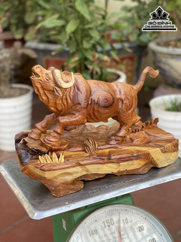 Tượng Bò Tót Gỗ Hương Việt Cao 29 Ngang 42 Sâu 25 (cm) 5
