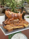 Tượng Bò Tót Gỗ Hương Việt Cao 29 Ngang 42 Sâu 25 (cm) 5