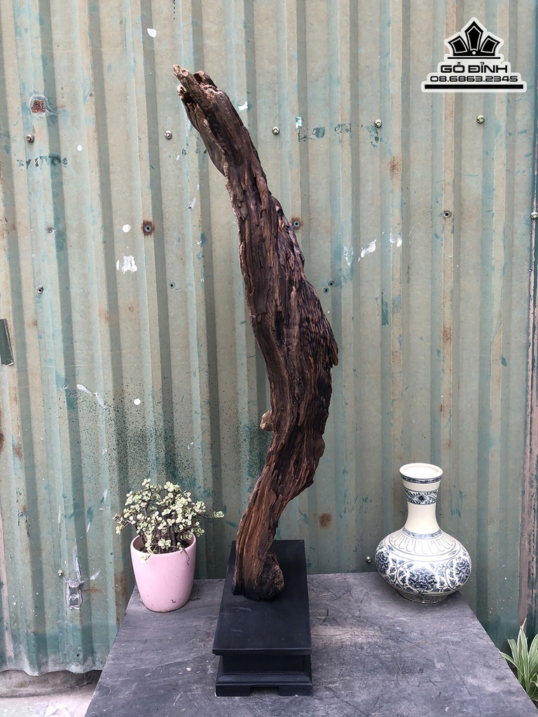 Tượng Thần Trà Gỗ Bách Xanh Cao 83 Ngang 55 Sâu 18 (cm) 0