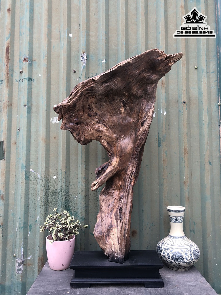 Tượng Thần Trà Gỗ Bách Xanh Cao 83 Ngang 55 Sâu 18 (cm) 2