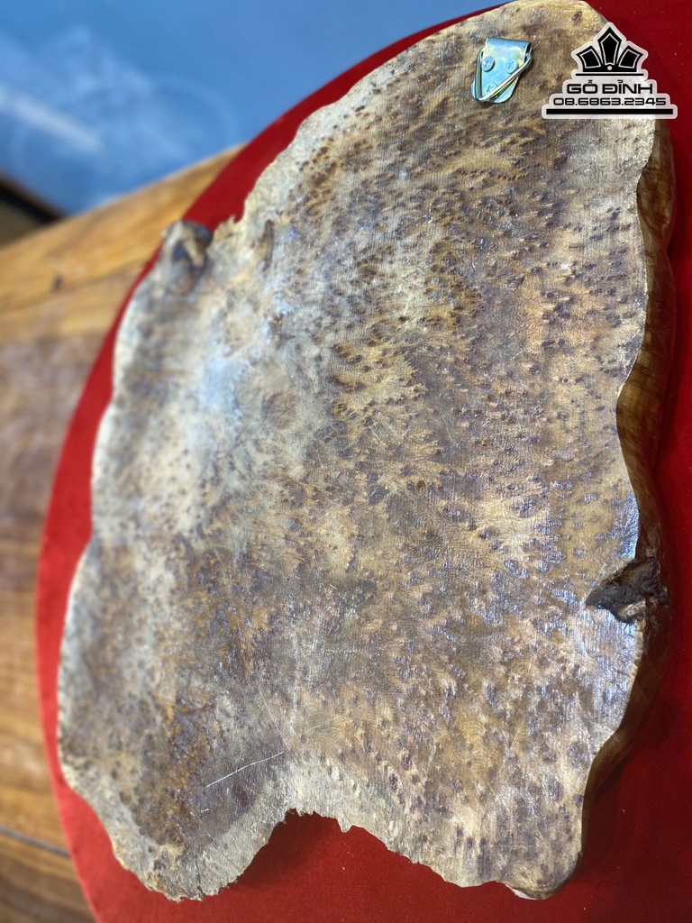 Khay Trà Gỗ Nu Ngọc Am Cao 3 Ngang 75 Rộng 51 (cm) 0