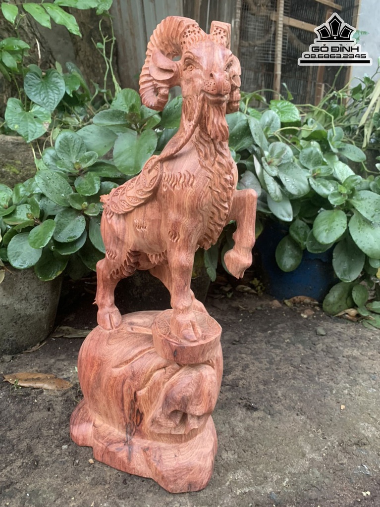 Tượng Dê Phong Thủy (Nhất Dương) Gỗ Hương Việt Cao 47 Ngang 23 Sâu 15 (cm) 0