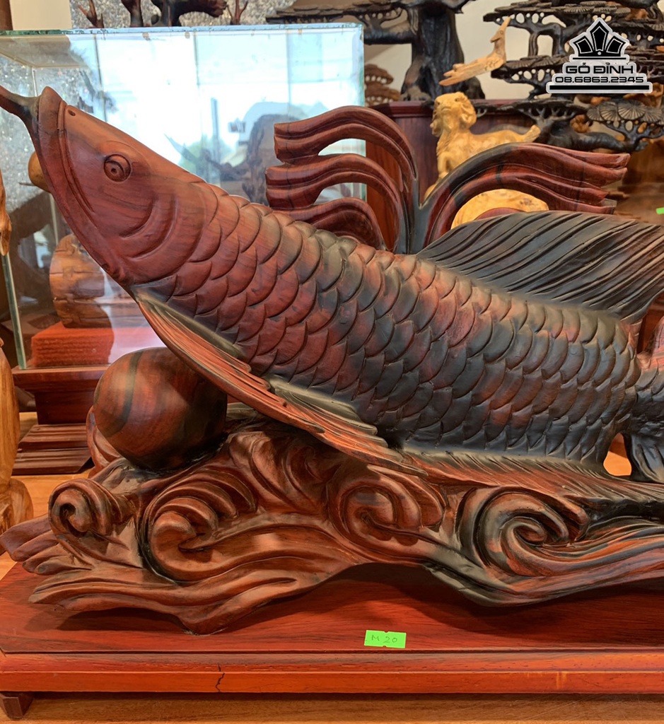 Tượng Cá Kim Long Gỗ Trắc Cao 31 Ngang 50 Sâu 16 (cm) 0