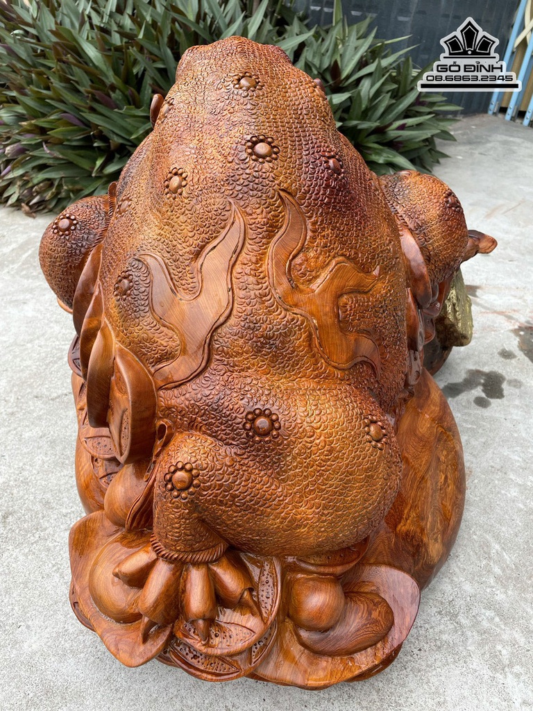 Tượng Cóc Thiềm Thừ Gỗ Hương Việt Ôm Đá Cao 48 ngang 62 Sâu 55 (cm) 2