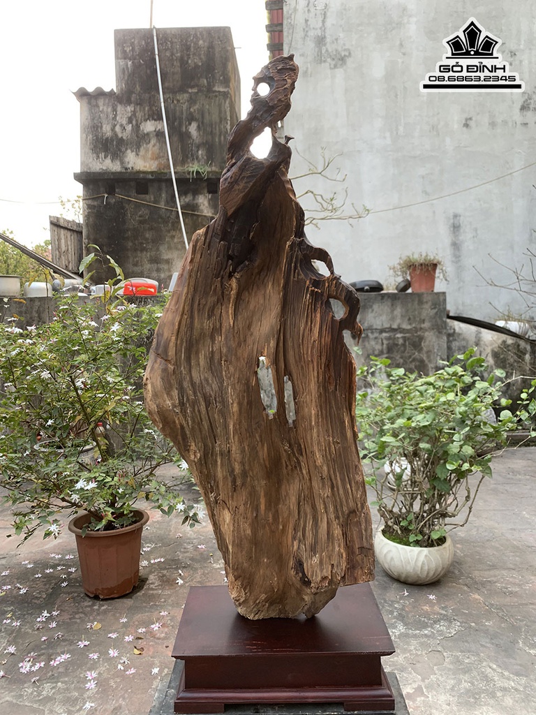 Tượng Đạt Ma Sư Tổ Gỗ Lũa Bách Xanh Cao 84 Ngang 33 Sâu 16 (cm) 4