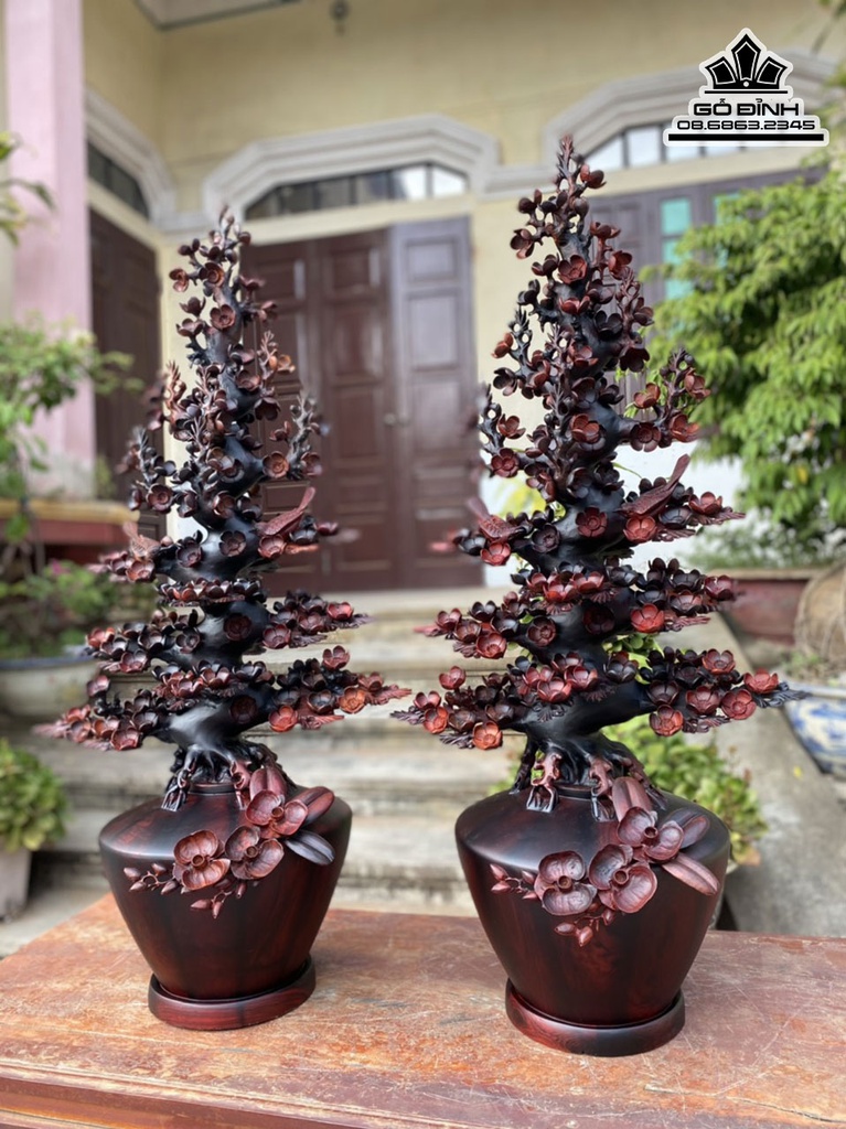 Cặp Bình Mai Gỗ Trắc Cao 102 Ngang 48 Sâu 33 (cm) 1