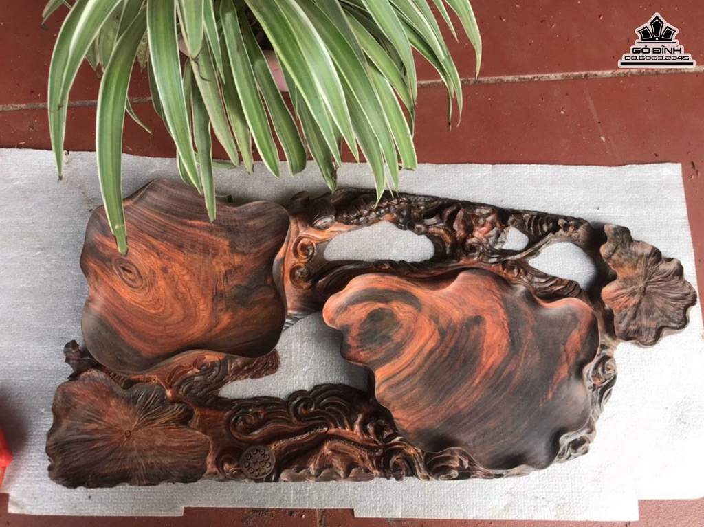 Khay Đựng Hoa Quả Gỗ Trắc Cao 6 Ngang 56 Sâu 27 (cm) 1