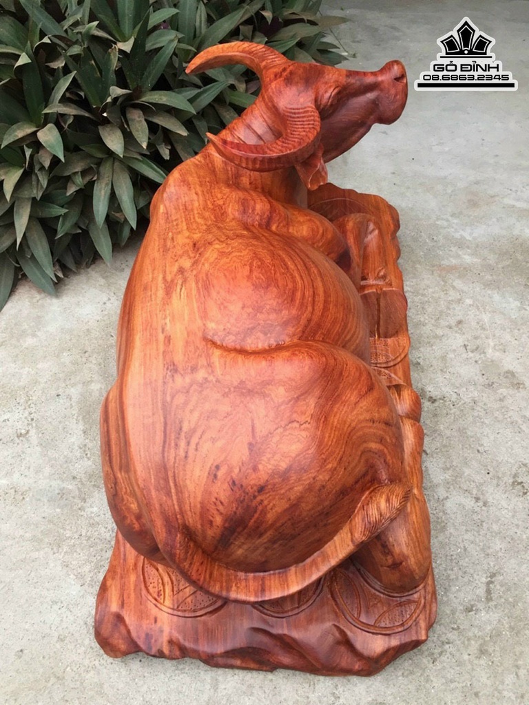 Tượng Trâu Gỗ Hương Việt Cao 75 Ngang 37 Sâu 31 (cm) 2