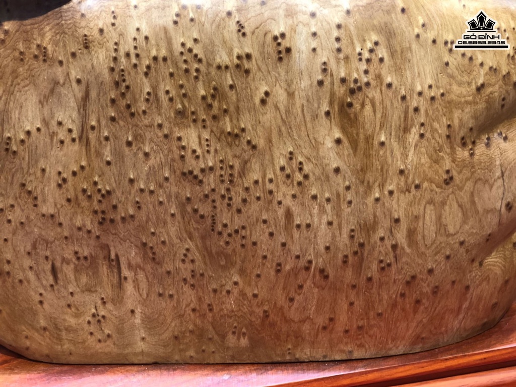 Tượng Song Nghê Gỗ Nu Ngọc Am Cao 59 Ngang 57 Sâu 31 (cm) 4