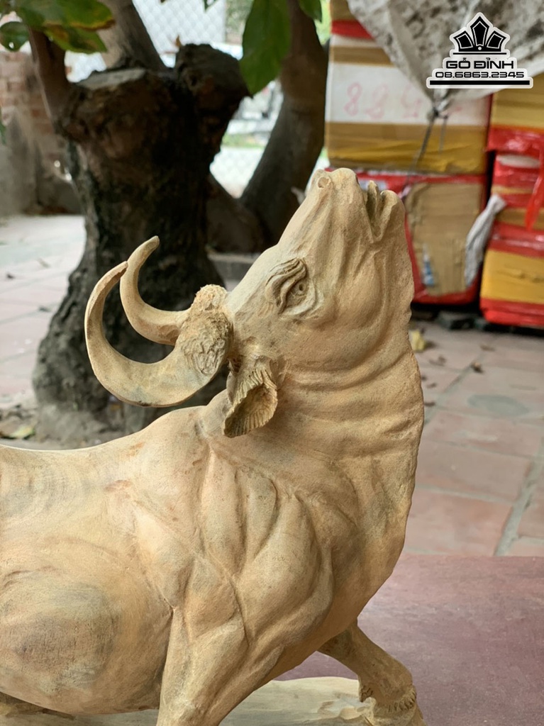 Tượng Trâu Gỗ Xá Xị (Gù Hương) Cao 31.5 Ngang 35 Sâu 19 (cm) 1