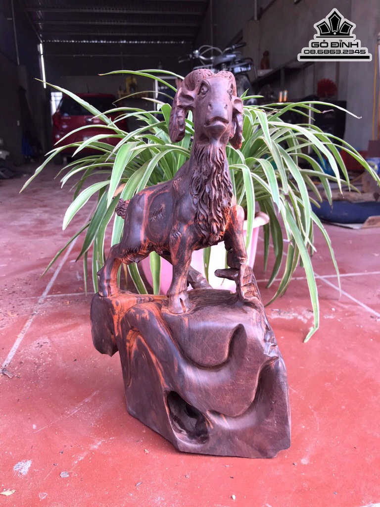 Tượng Dê Gỗ Trắc Cao 30 Ngang 16 Sâu 9 (cm) 2