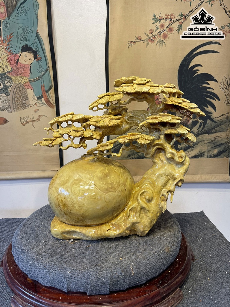 Bình Tùng Bon Sai Gỗ Nu Kháo Cao 43 Ngang 40 Sâu 25 (cm) 2