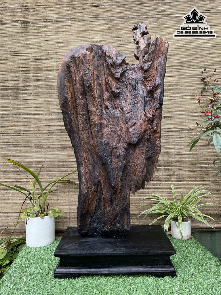 Tượng Đạt Ma Gỗ Bách Xanh Cao 65 Ngang 33 Dày 11 (cm) 2