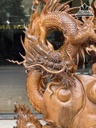 Tượng Rồng (Nhất Long) Gỗ Bách Xanh Cao Cả Kỷ 128 Ngang  56 Sâu 16 (cm) 6